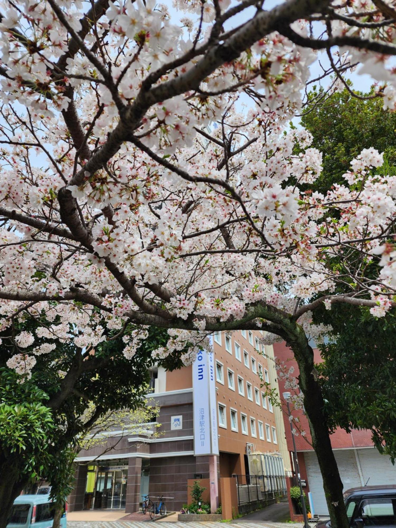 Toyoko Inn Fujisan Numazu Eki Kita Guchi No 2 Kültér fotó